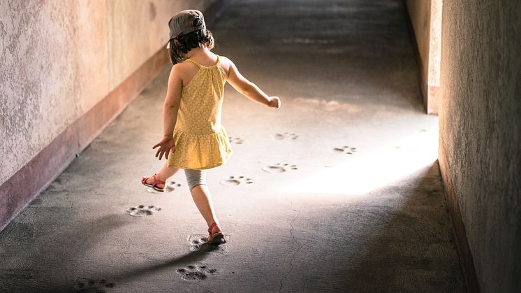 Foto: Unsplash 
