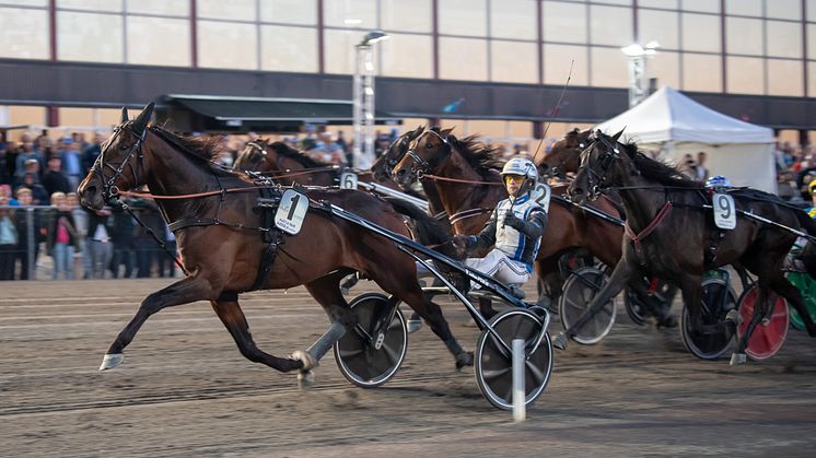 Hustle Rain får den sextonde och sista rosa Elitloppsbiljetten 2024. Foto: TR Bild
