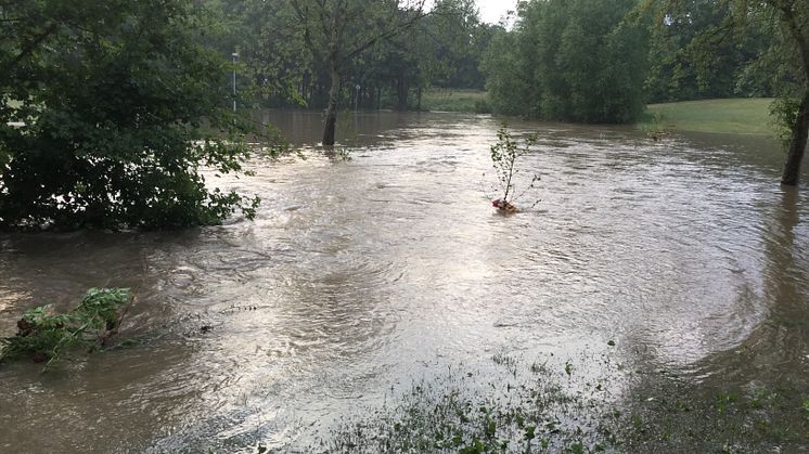 Grönområdet vid Boserupsbäcken söder om Norra vägen i Bjuv 16-06-15. 