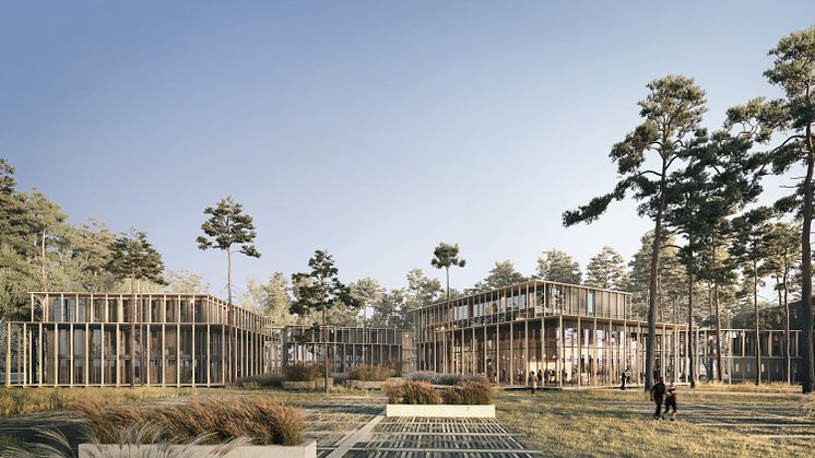 Falsterbo_daytime.jpg