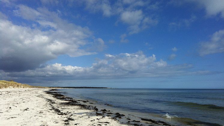 Falsterbo