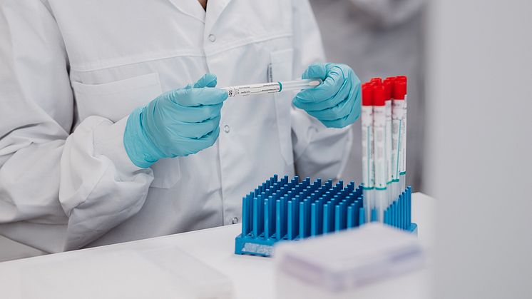 lab