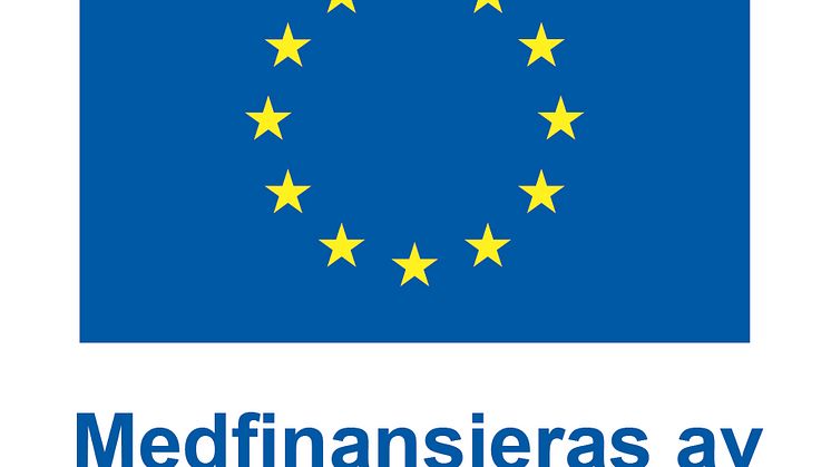 SV V Medfinansieras av Europeiska unionen_POS.jpg