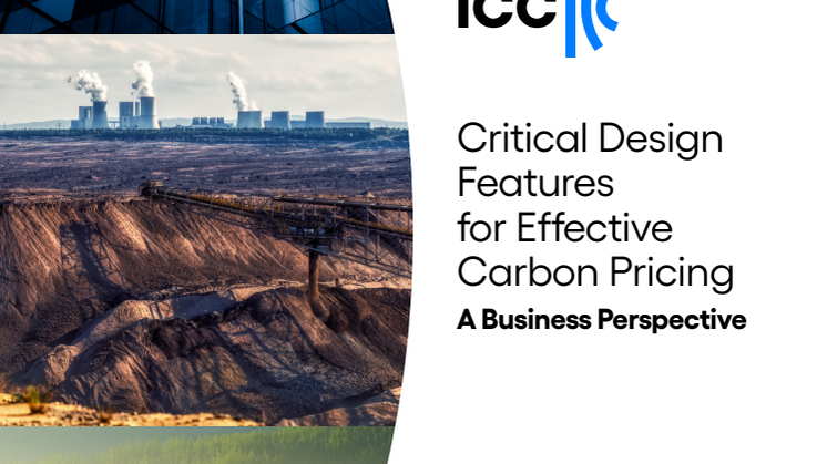 Critical Design Features for Effective Carbon Pricing: A Business Perspective