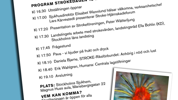 Strokedagen 2015 - Anhörig i nöd och lust