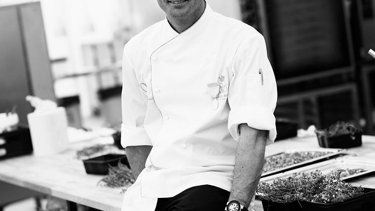 Stefano Catenacci