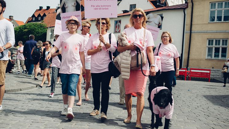 Rätt till bröst - BROs rosa röst i Almedalen