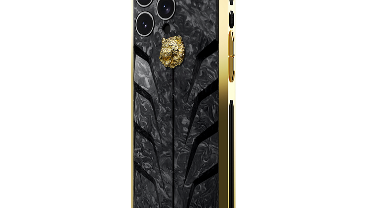 RS15.Tiger-G-CFB-02-Back-2.png