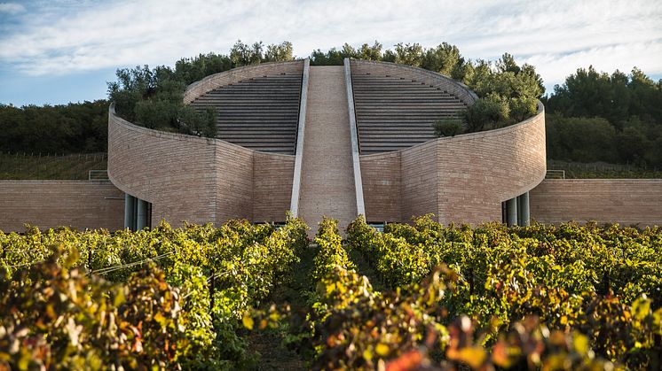 Petra Wines, Italien. Nu tillgängligt i Sverige.