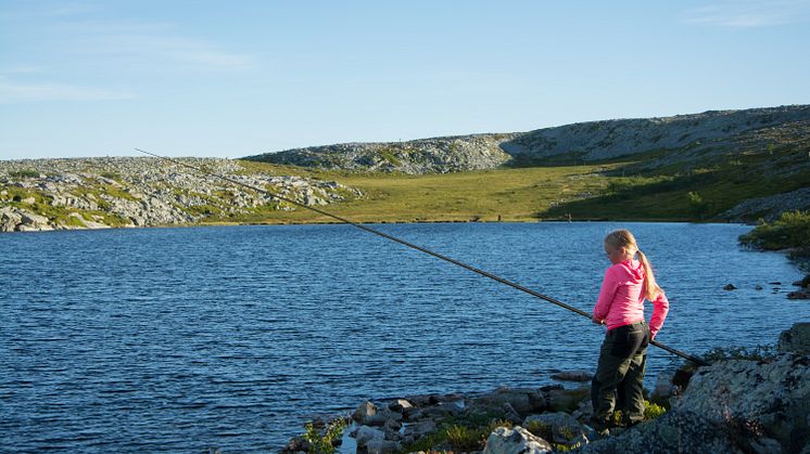 Fiske