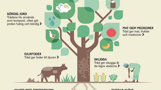 EcoOnline klimatkompenserar och bidrar till att minska hunger och fattigdom
