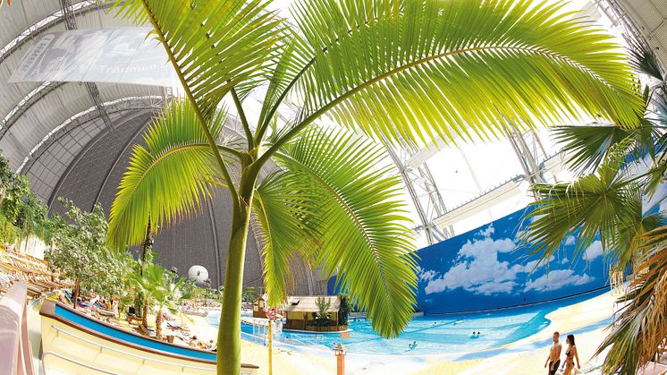Tropical Islands palmer og sandstrand