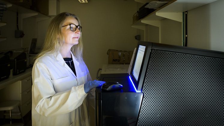 Epigenetiken och genetiken ger nya svar på hur diabetesvården kan individanpassas. Foto: Kennet Ruona