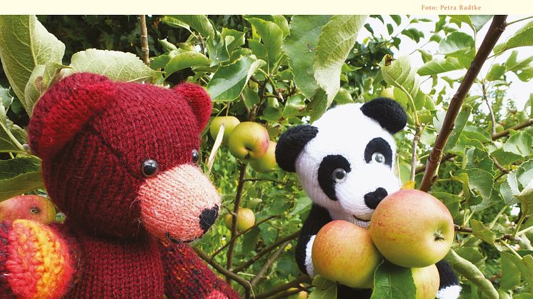  Mit Bärenherz durchs Jahr 2018 - Der neue Bärenherz-Kalender 