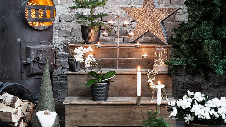 Blomsterlandet skapar julstämning