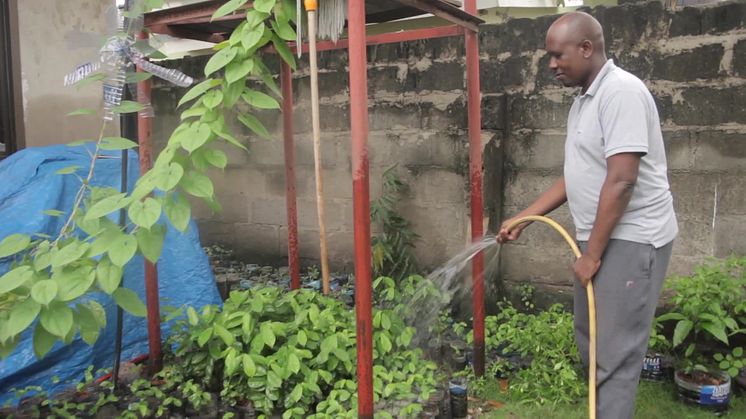Soursop Tree Project Plan - Green Earth Appeal