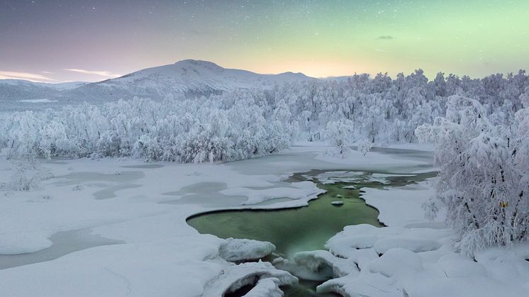 Foto: Region Västerbotten Turism