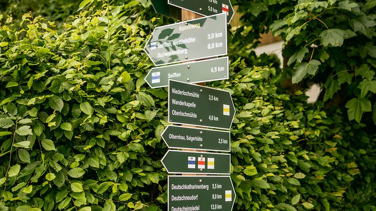 Kammweg_19.06.23_Dirk_Rueckschloss-0644.jpg