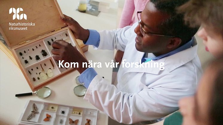 Labbet