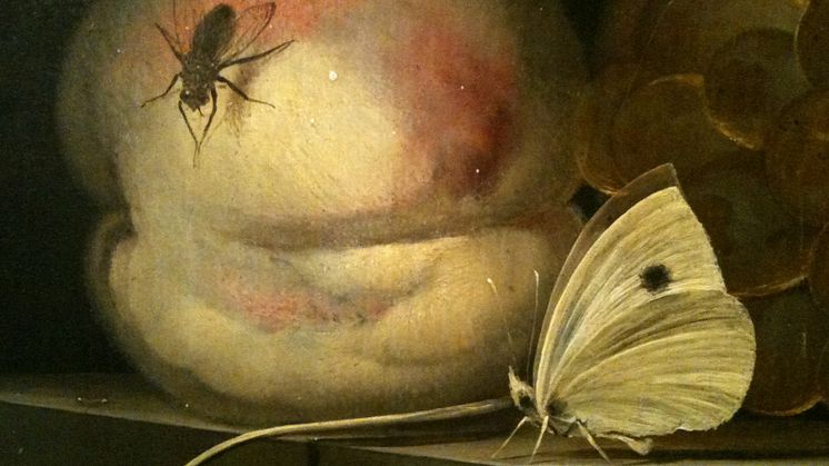 Konstdetektiverna letar djur på Malmö Konstmuseum under höstlovet