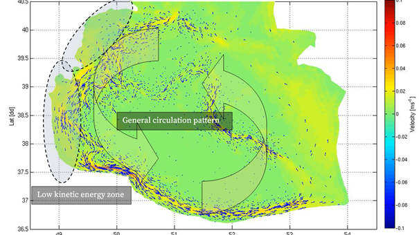Plastic debris distribution pattern.png