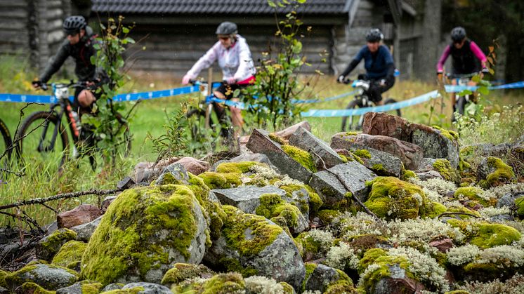 Cykelvasan Öppet Spår 2024
