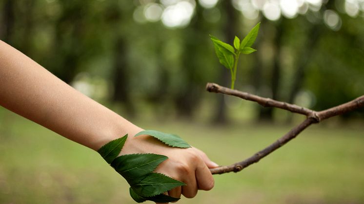 Endast 122 kommuner ställer klimatkrav vid upphandling