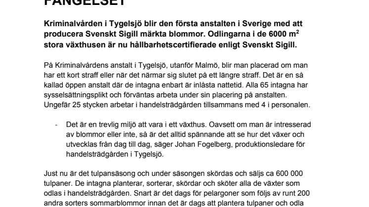 SVENSKT SIGILLBLOMMOR I FÄNGELSET