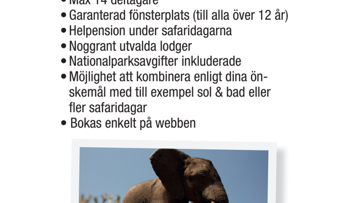 JAMBO SAFARI - safari med Jambo färdledare