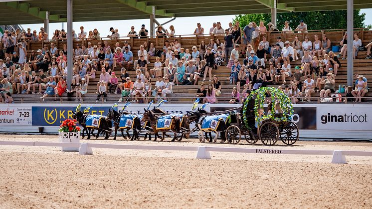 Invigning Falsterbo Horse Show 2023 1