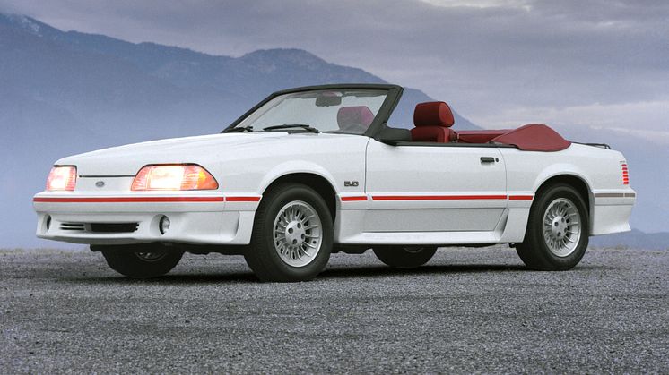 55 Mustang Birthday