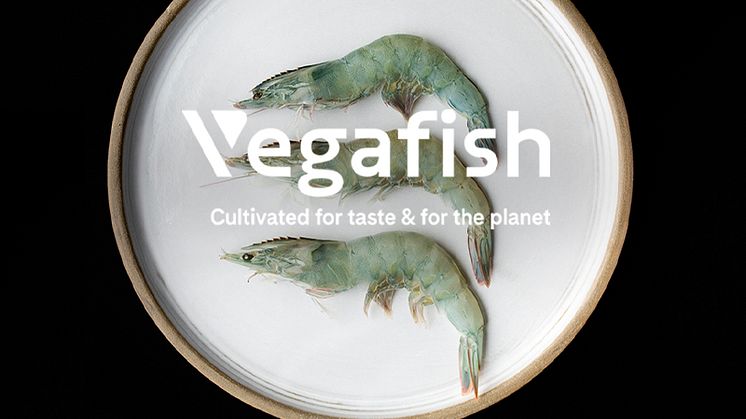 Med Vegafishs svenskodlade vannameiräkor kan du med gott samvete äta hållbara jätteräkor, ursprungsmärkta med Från Sverige. Idag finns jätteräkorna på menyn hos stjärnkrogar.
