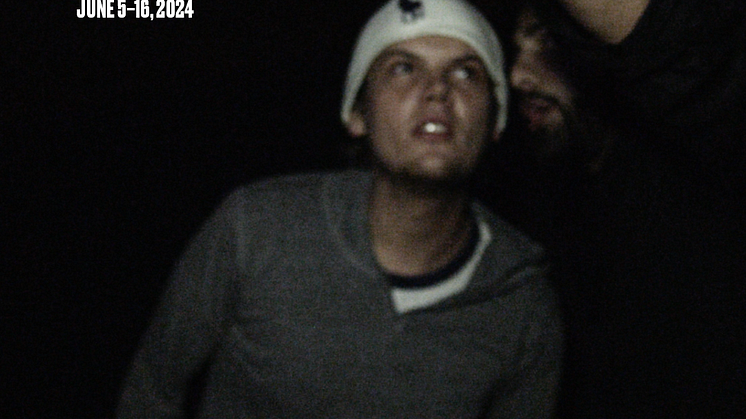Tribeca Film Festival_Avicii - I'm Tim_SoMe