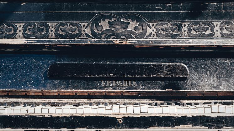 Bild: Marjan Blan, Unsplash