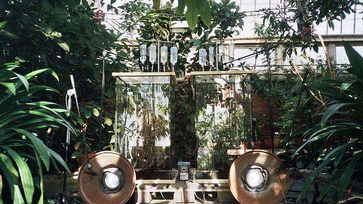 Per Svensson - The New Clear Plants & The Butterfly Effect, 2009