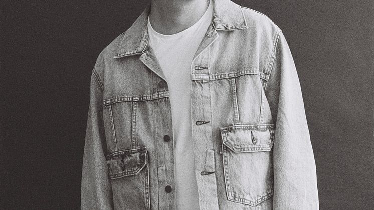 Albin Lee Meldau
