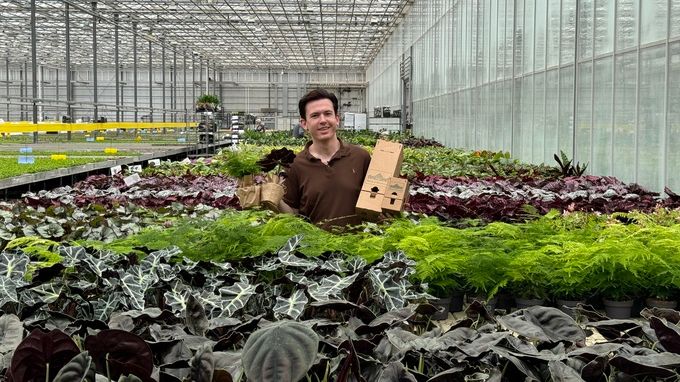 E-handelsförpackning för plantor till House of Botanique