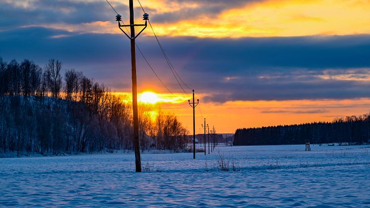 AdobeStock_411742842.jpeg