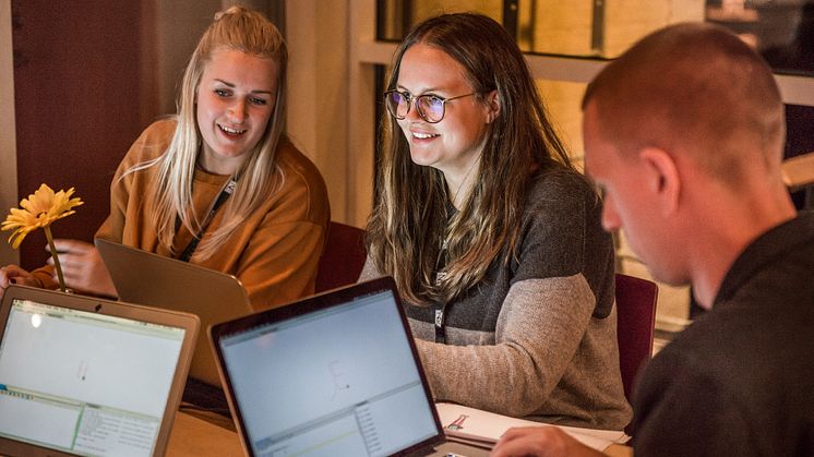 Programmerinsgworkshop för lärare