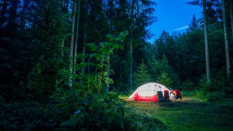 Breisgau-Hochschwarzwald_Hochschwarzwald_Wild_Zelten_auf_der_Wandertour_im_Gebirge,_ein_Mann_baut_das_Zelt_auf