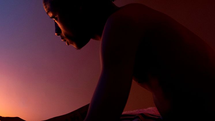 Pressbild Leslie Tay