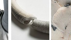 Slow Art öppnar på Nationalmuseum den 10 maj