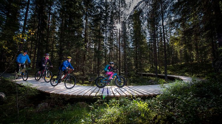 Trekloppene i Gullia er spennende å sykle på - både for store og små.