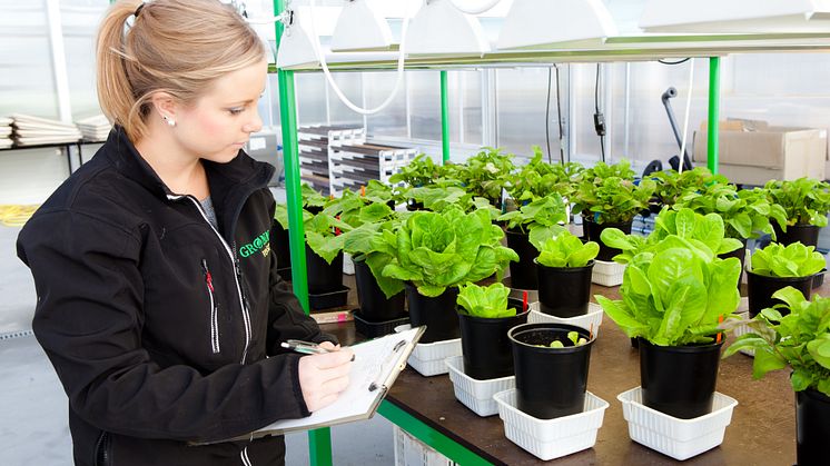 En kunderådgiver i Norsk Vekstjord sjekker kvaliteten på den ferdigproduserte jorda.