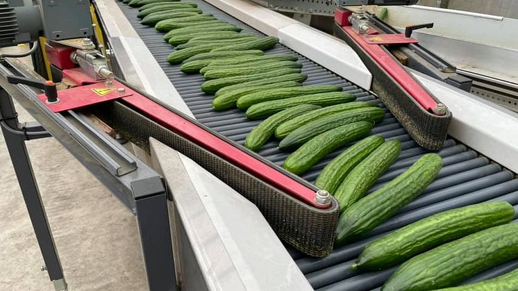 frillestad 3.jpg