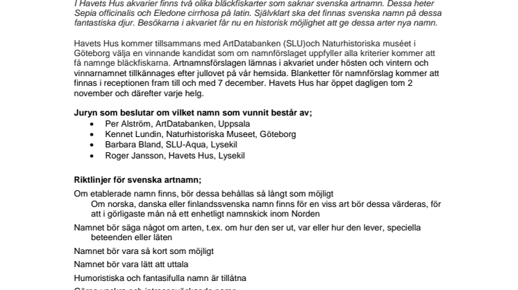 Ge bläckfiskarna officiella svenska artnamn genom Havets Hus!