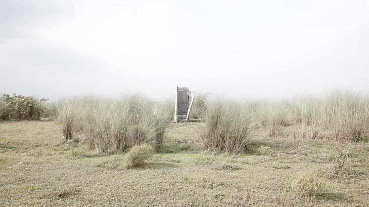 Work in Progress, 2009 - 