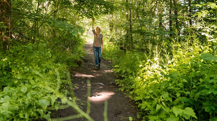 Skogsbad med Lisen Sundgren