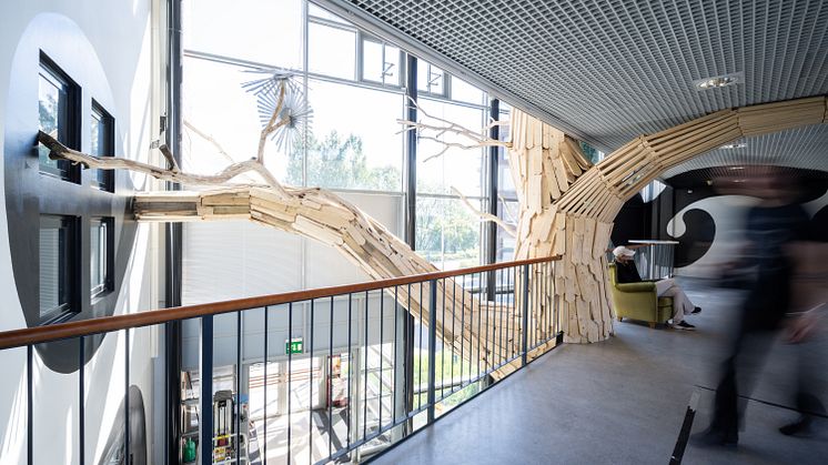 Teemu Mäenpää "Tässäkin olisi voinut olla puu" (2024), Muutos.art-taidetalo, Tampere. Kuva: Ilkka Vuorinen