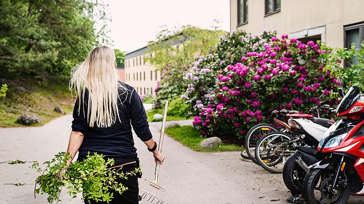Vem ansvarar för studsmattan och poolen i en bostadsrättsförening?